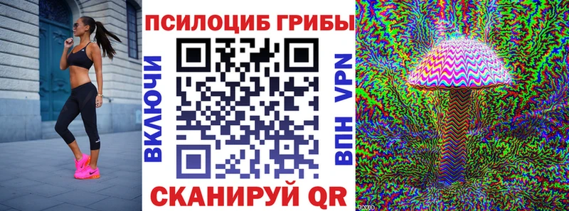 Галлюциногенные грибы Psilocybe  Торопец 